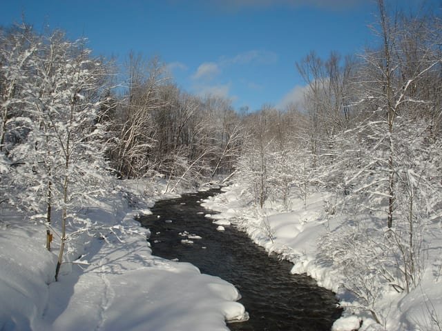 North Branch Salmon River, Tug Hill region, NY (winter)