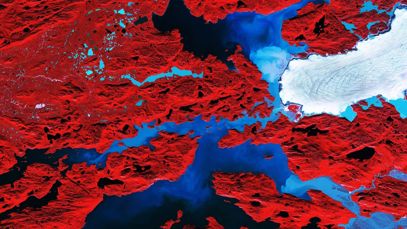 The Nordenskiold Glacier in Greenland